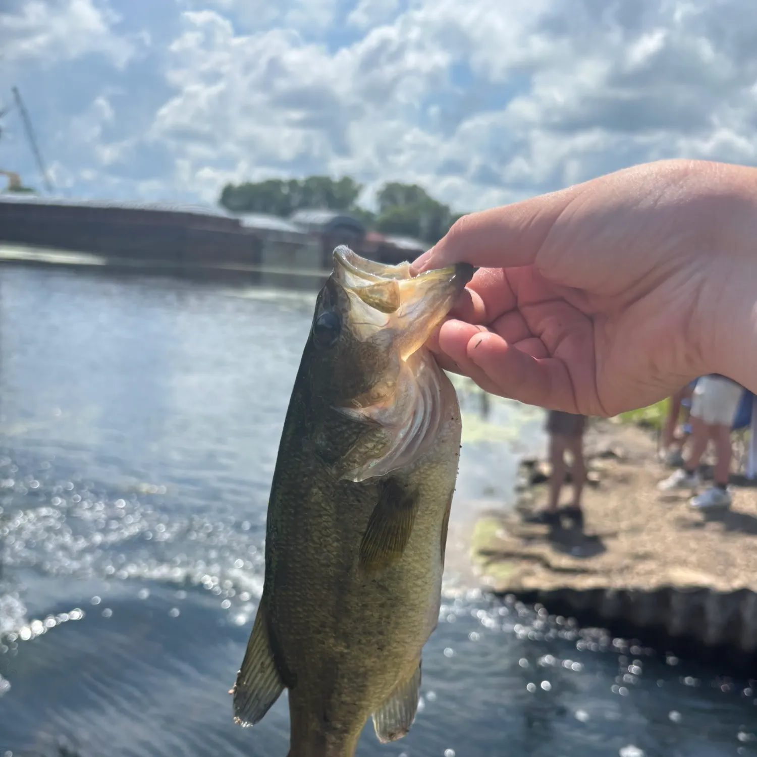 catch