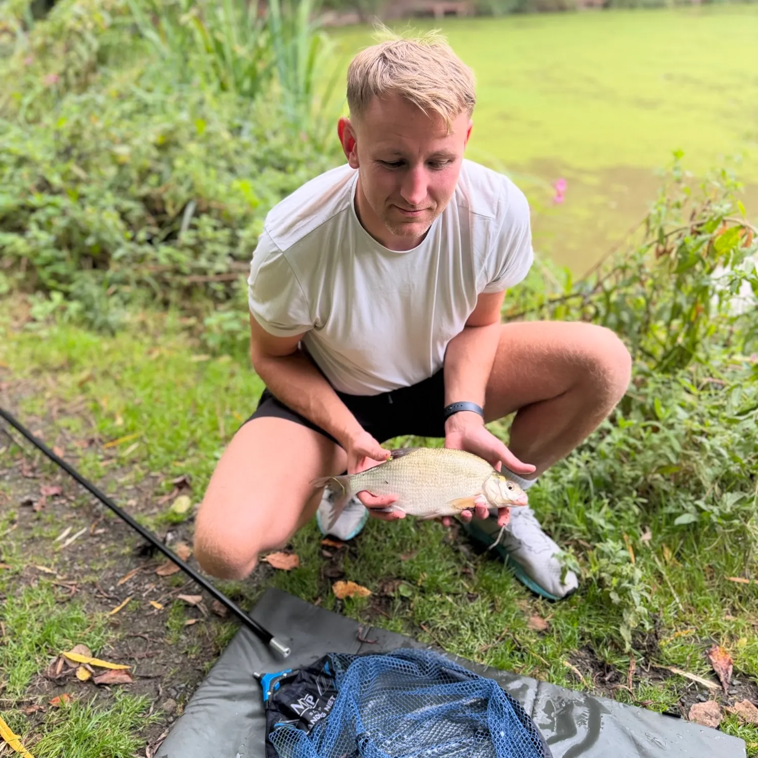 Common bream caught on Fishbrain