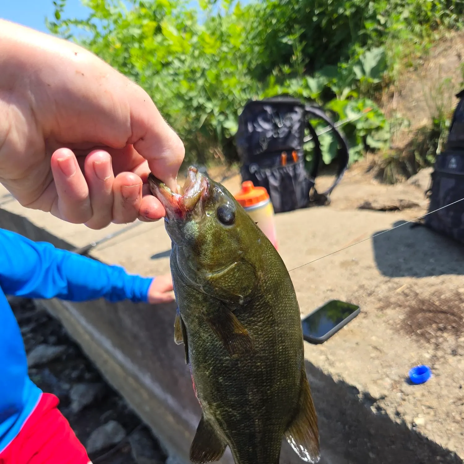 catch