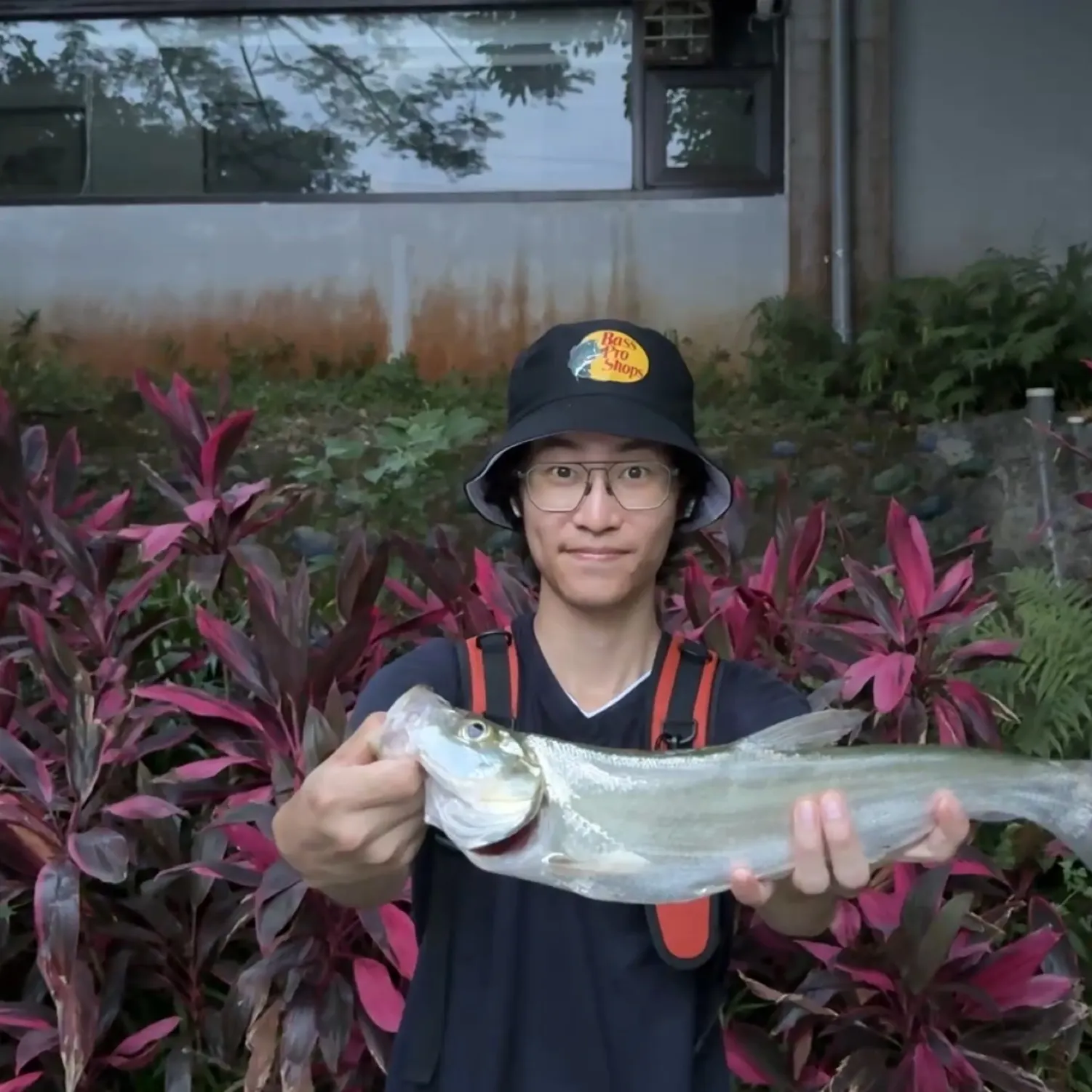 The most recent Predatory carp catches on Fishbrain