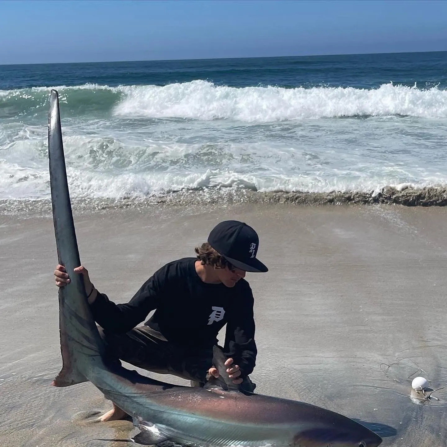 The most recent Common thresher catches on Fishbrain