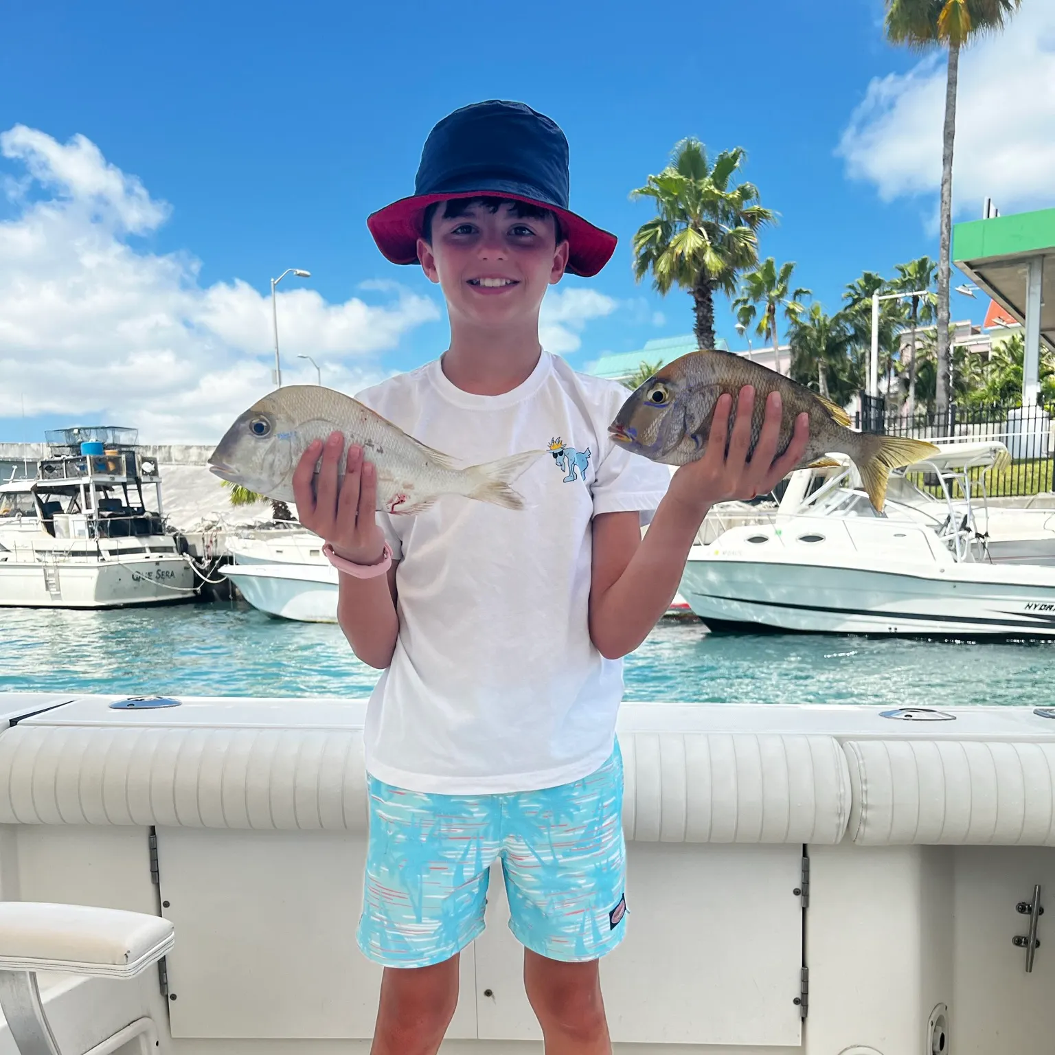 The most recent Silver porgy catches on Fishbrain