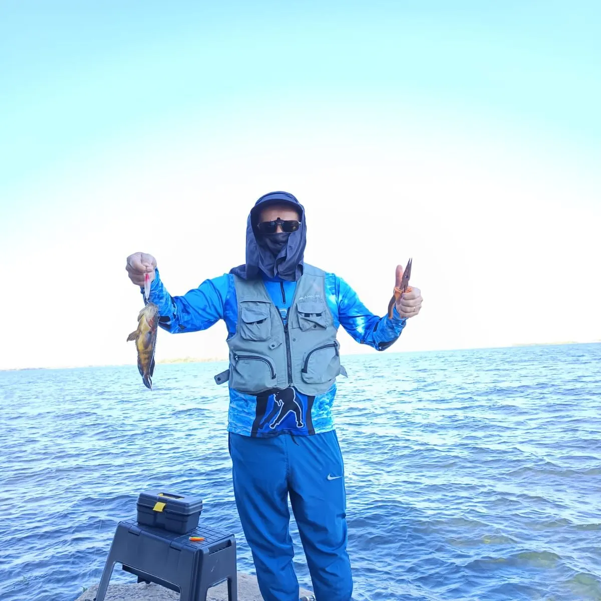 The most recent Black acara catches on Fishbrain