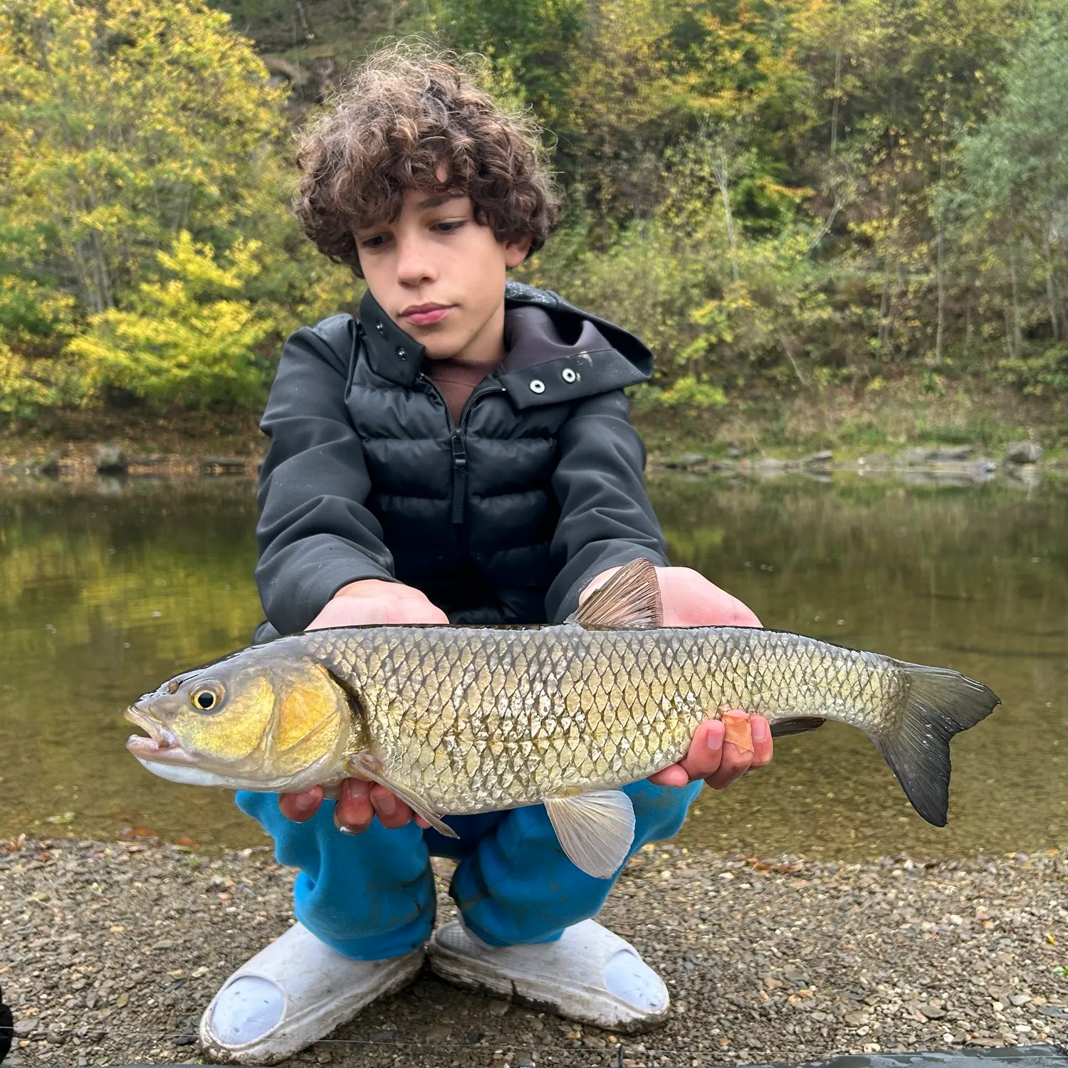 European chub caught on Fishbrain