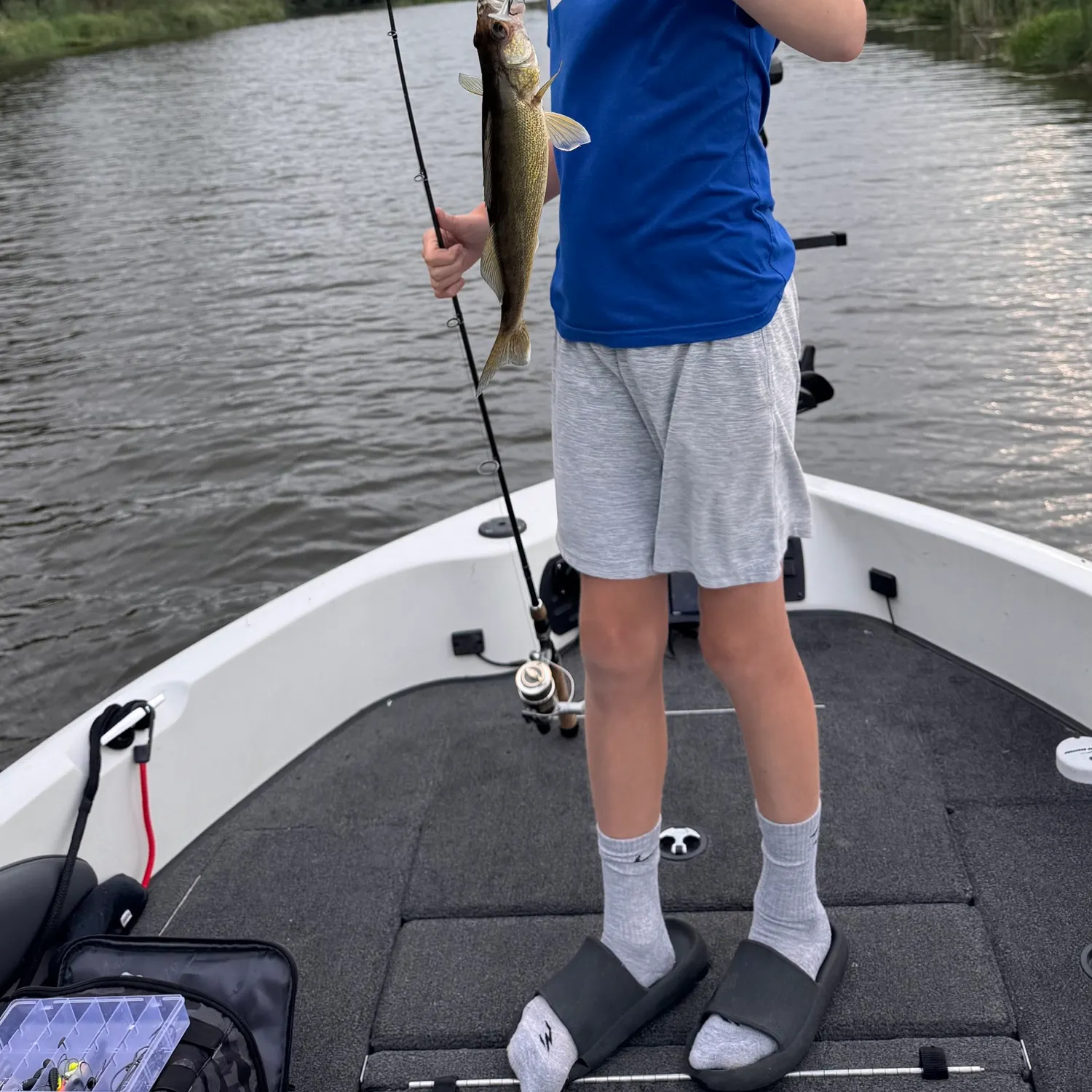 The most recent Walleye catches on Fishbrain