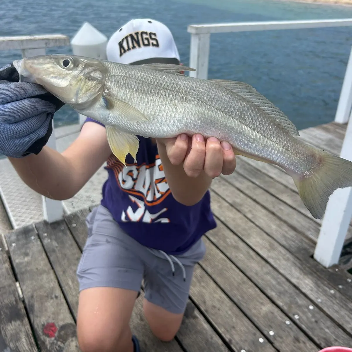 The most recent Sand sillago catches on Fishbrain