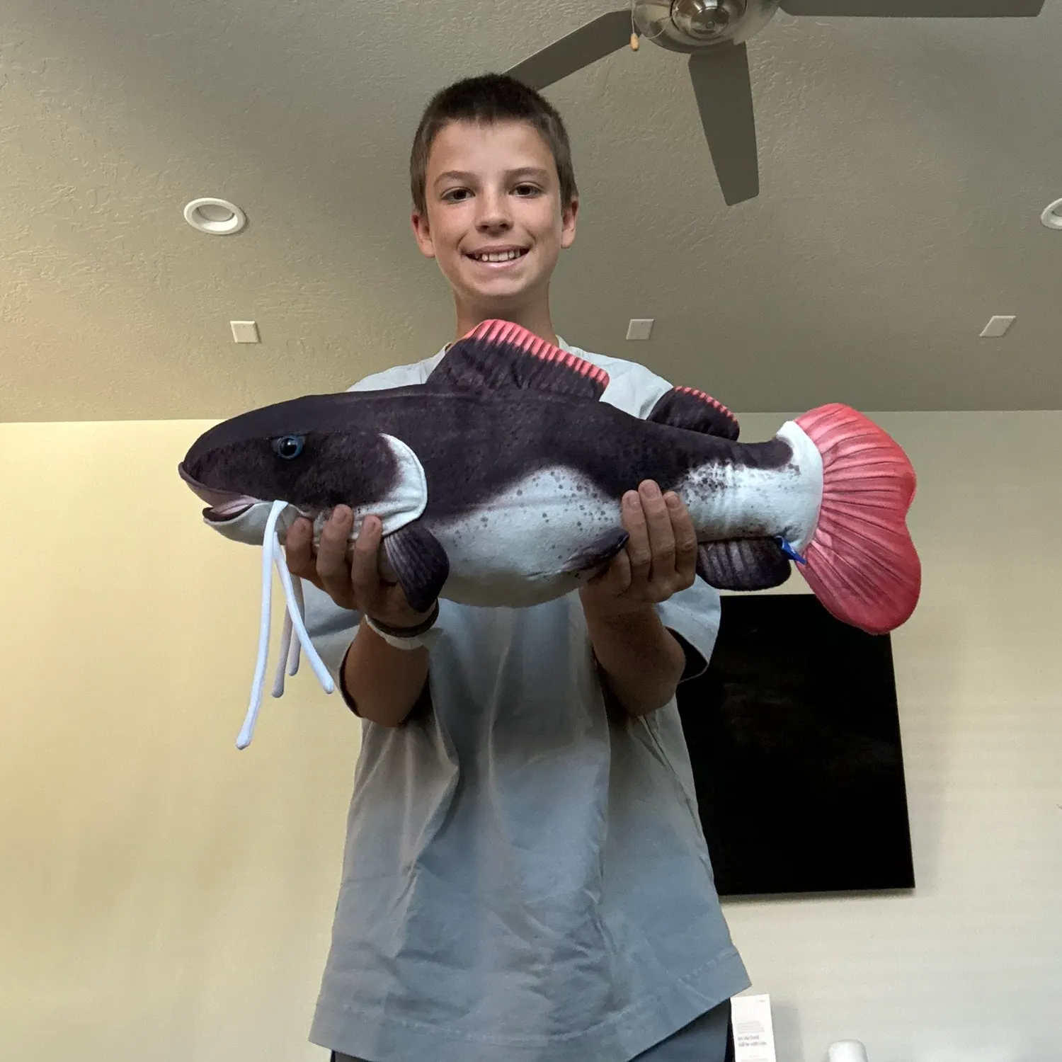 Redtail catfish caught on Fishbrain