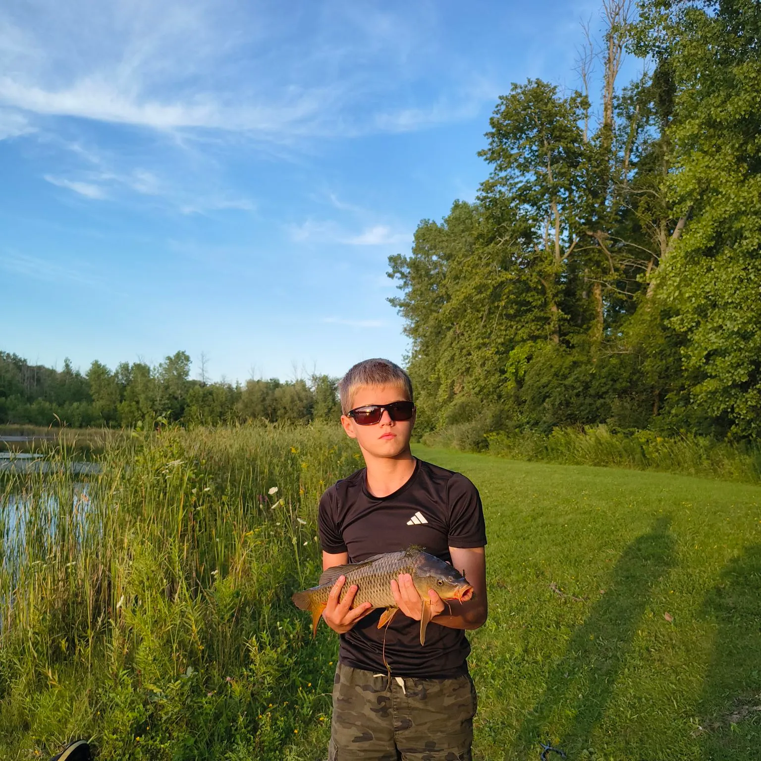 Common carp caught on Fishbrain