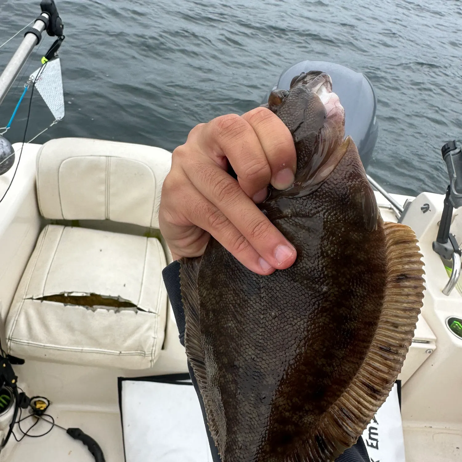 The most recent Southern rock sole catches on Fishbrain