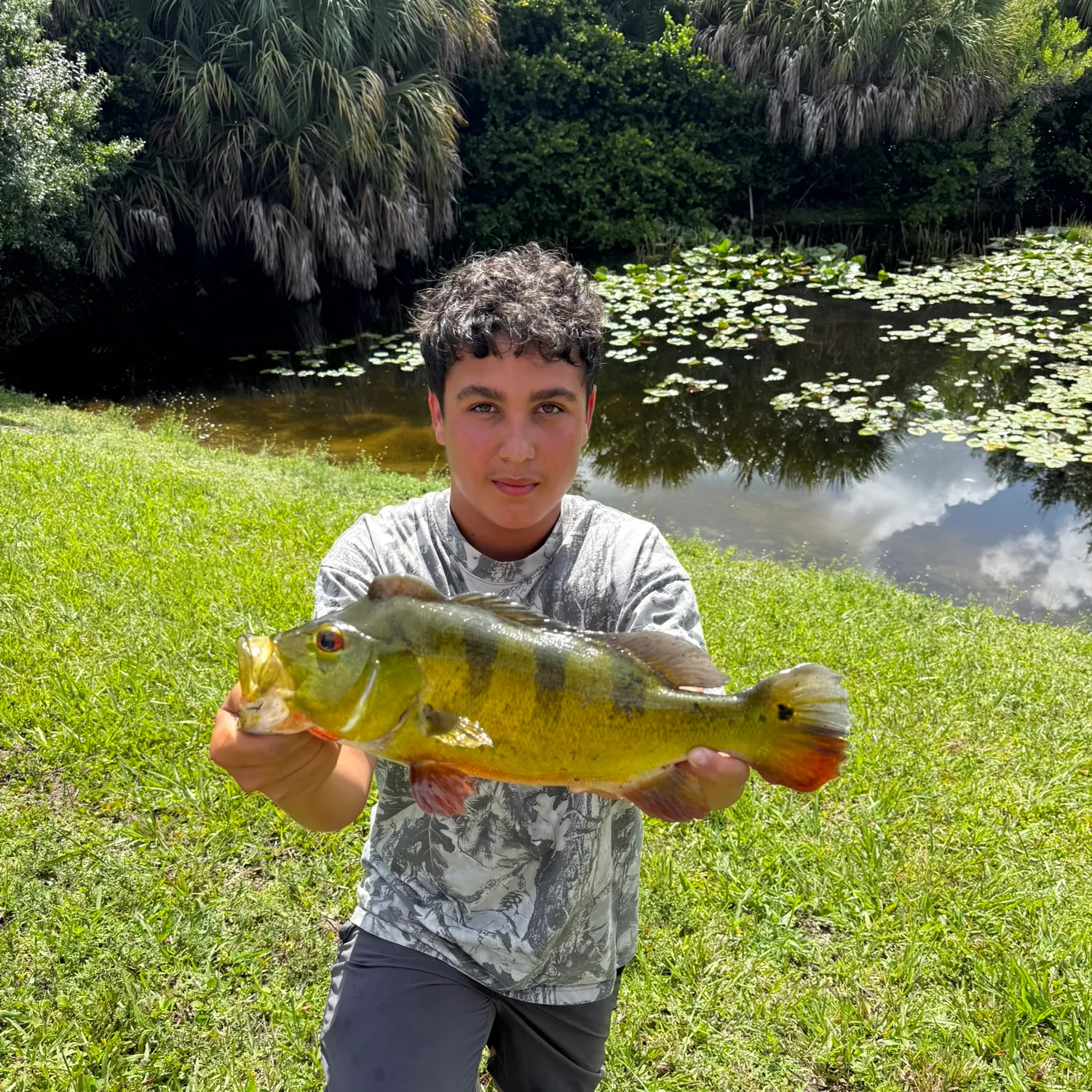 The most recent Butterfly peacock bass catches on Fishbrain