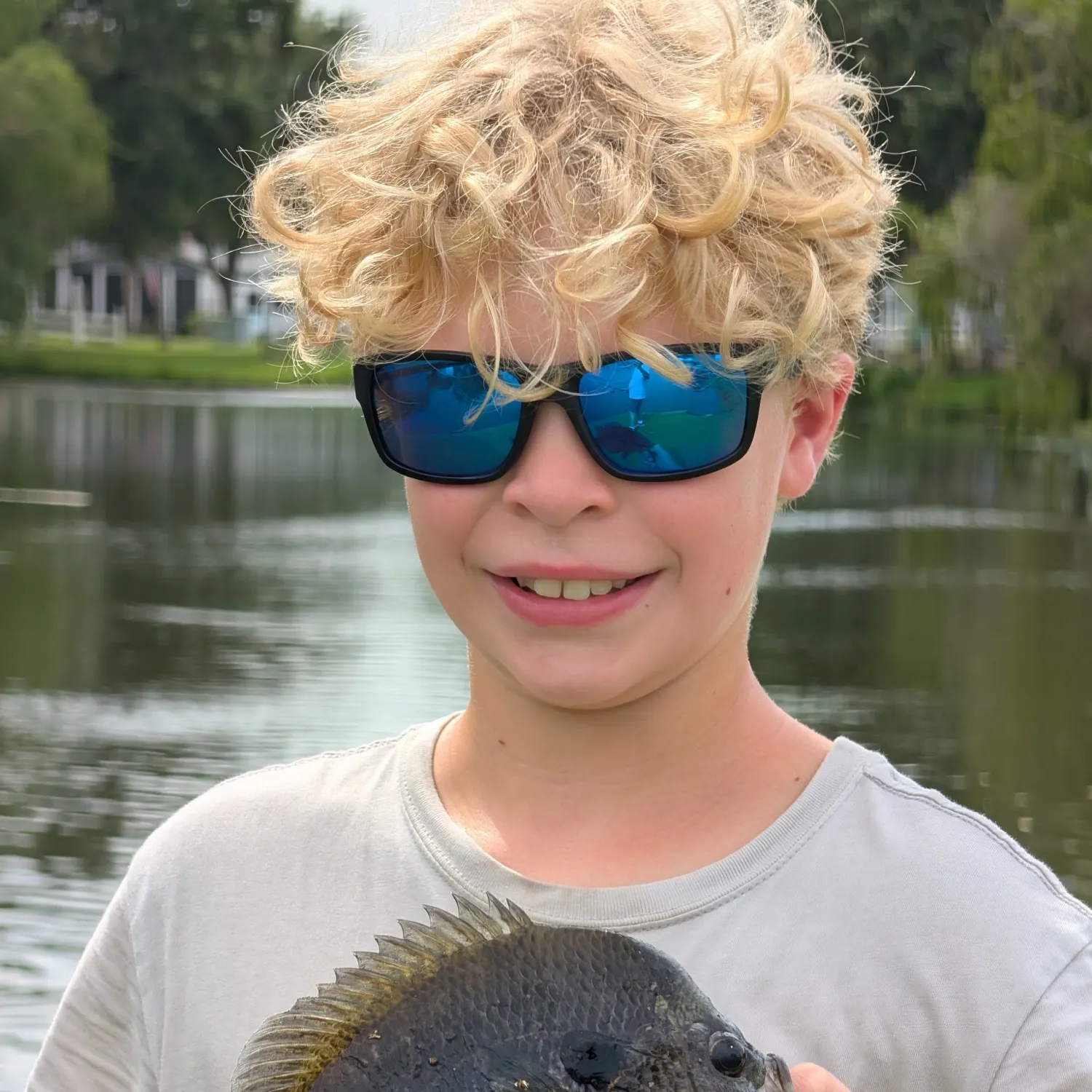 Bluegill caught on Fishbrain