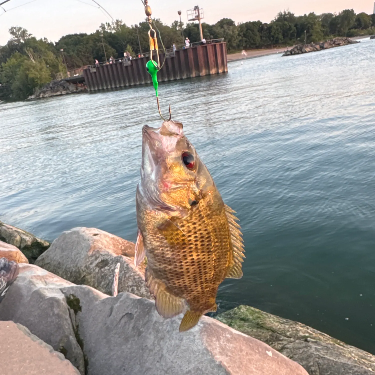 catch