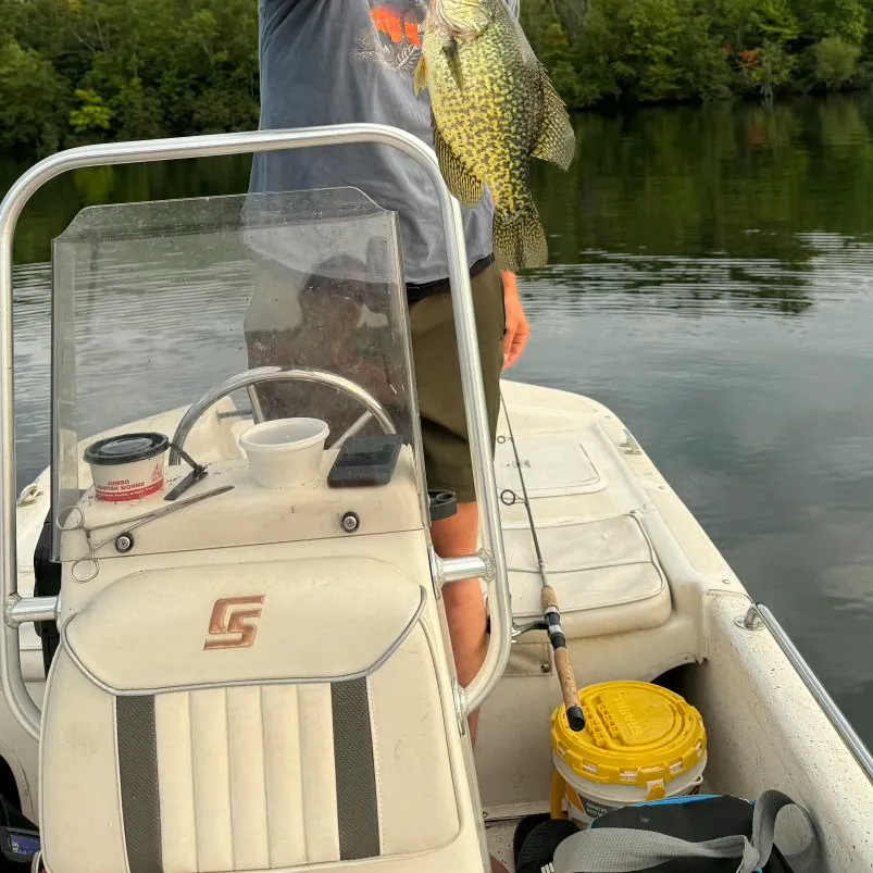 The most recent Black crappie catches on Fishbrain