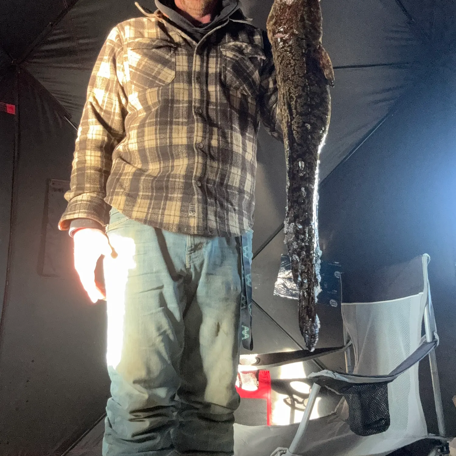 The most recent Burbot catches on Fishbrain