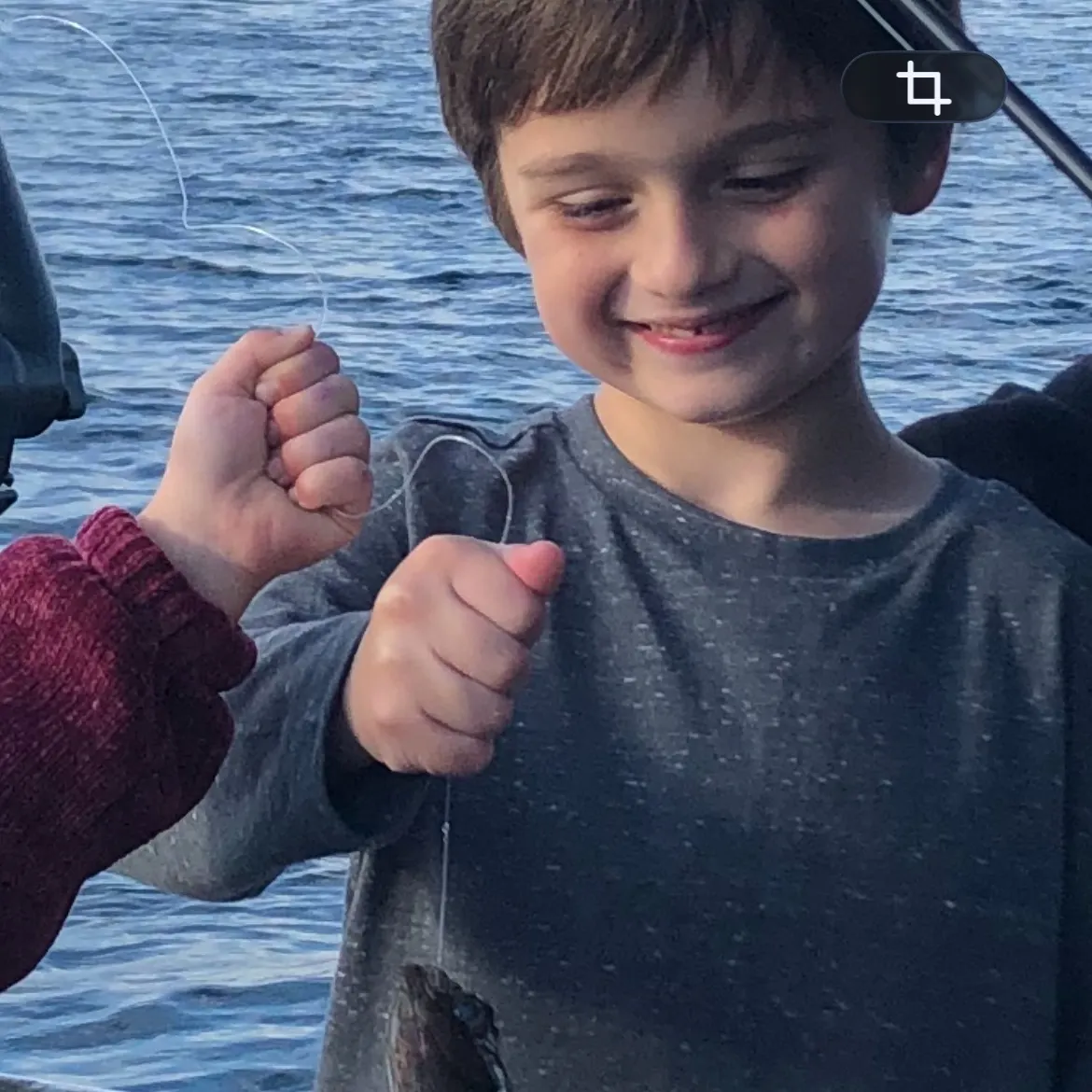 The most recent Summer flounder catches on Fishbrain