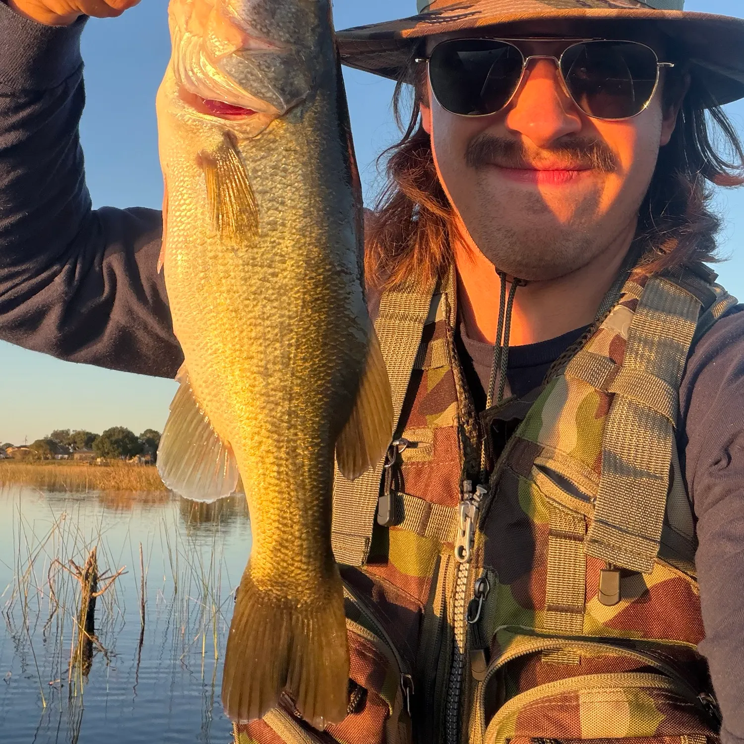 Largemouth bass caught on Fishbrain