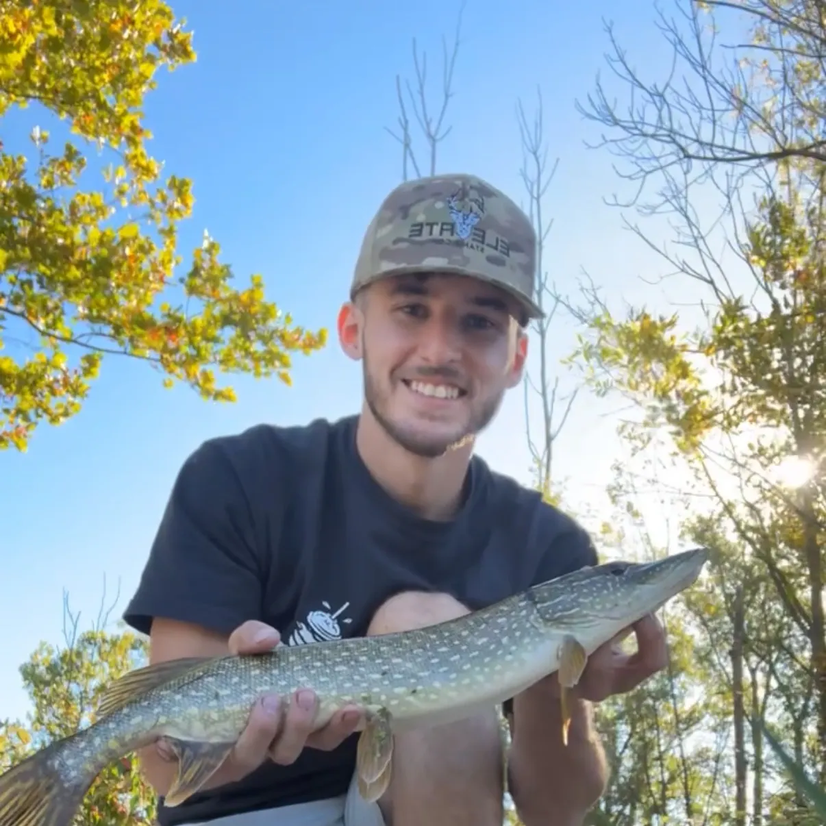 Northern pike caught on Fishbrain