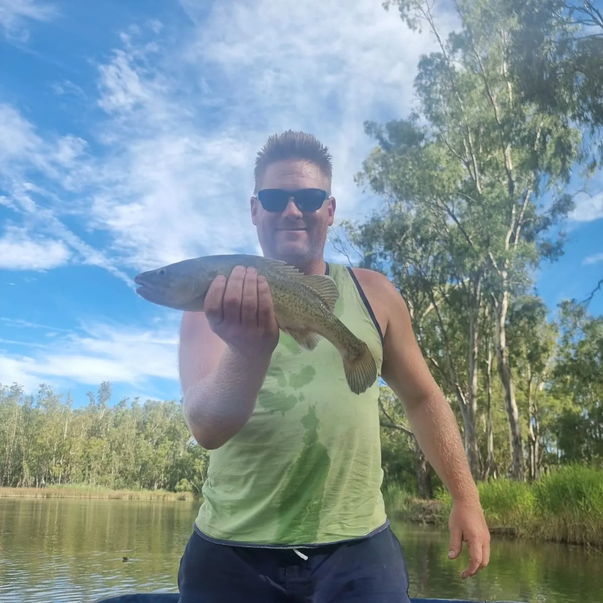 The most recent Trout cod catches on Fishbrain