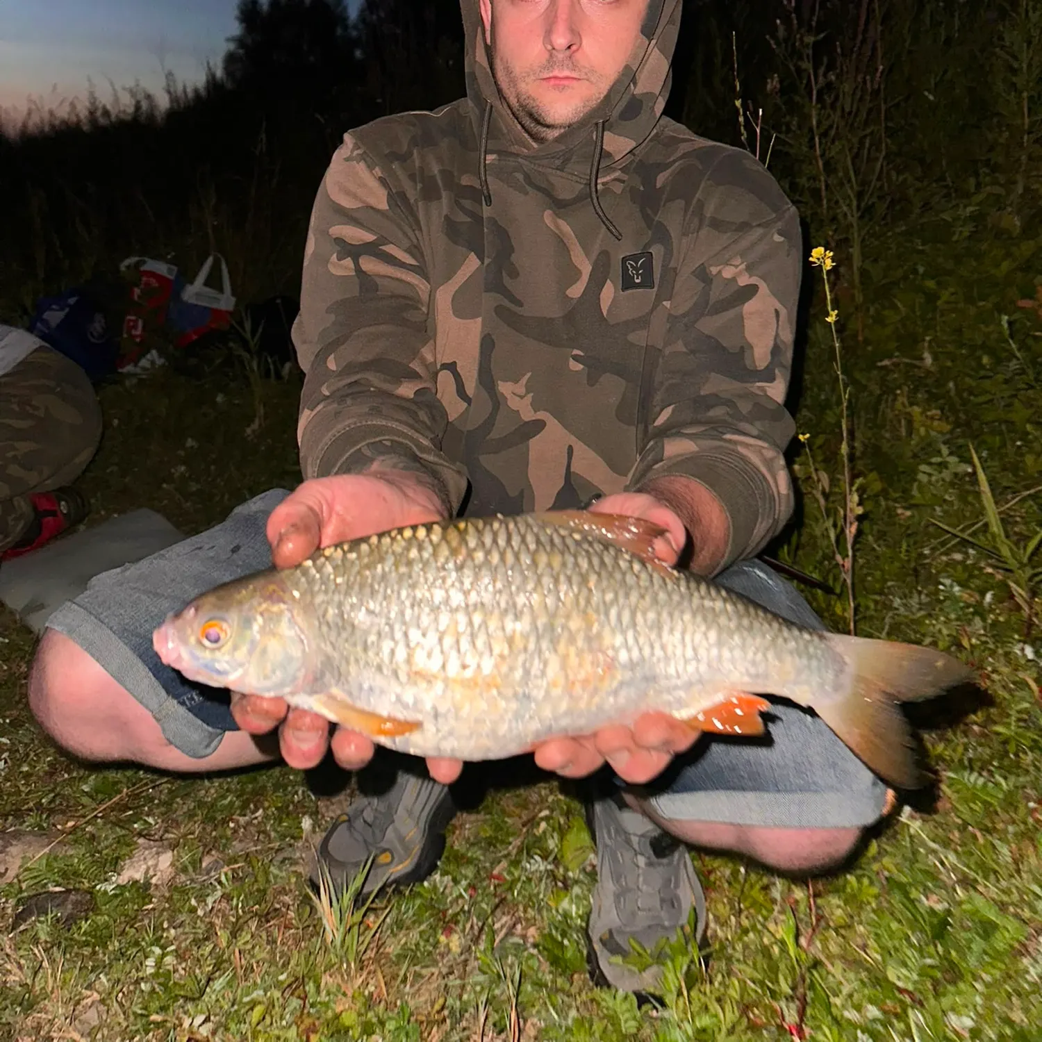 Common roach caught on Fishbrain