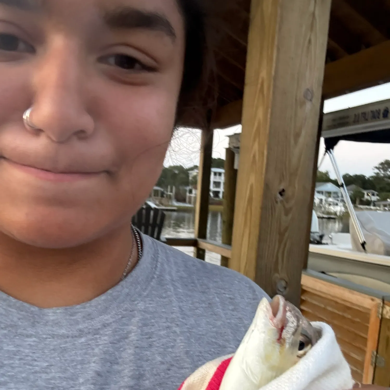 The most recent Pinfish catches on Fishbrain