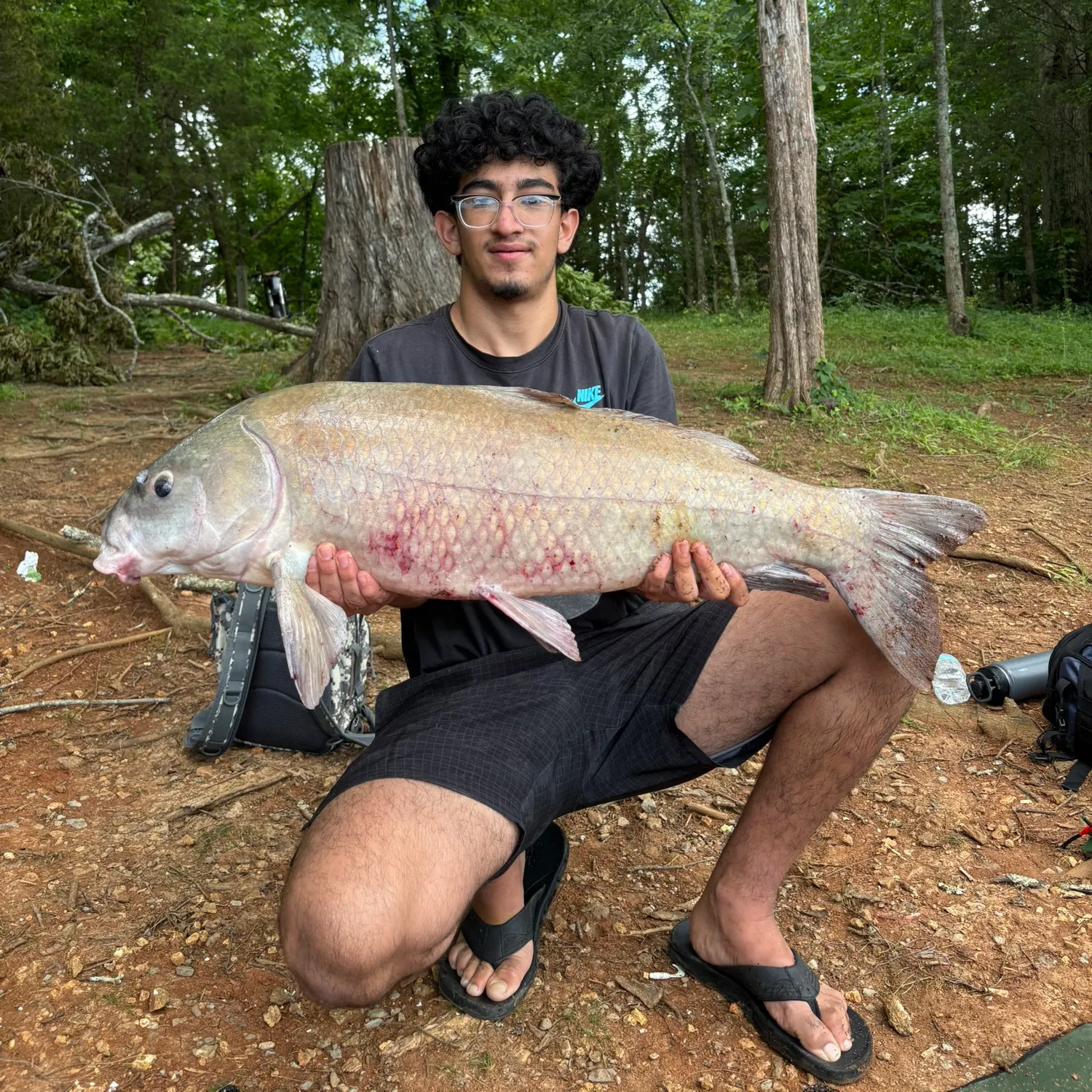 The most recent Smallmouth x black buffalo catches on Fishbrain
