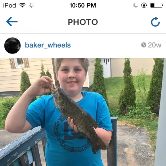 recently logged catches