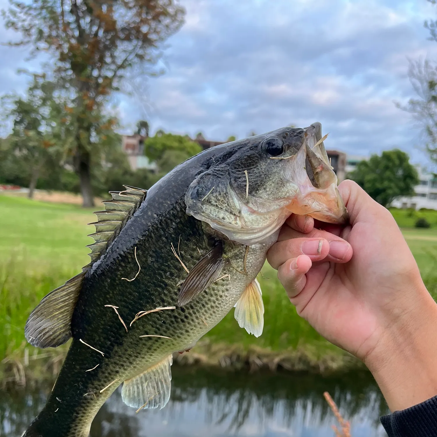 catch