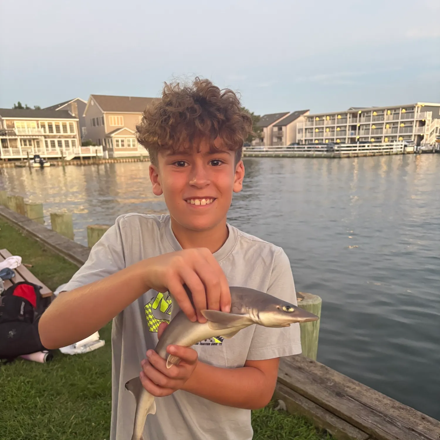 The most recent Northern spiny dogfish catches on Fishbrain