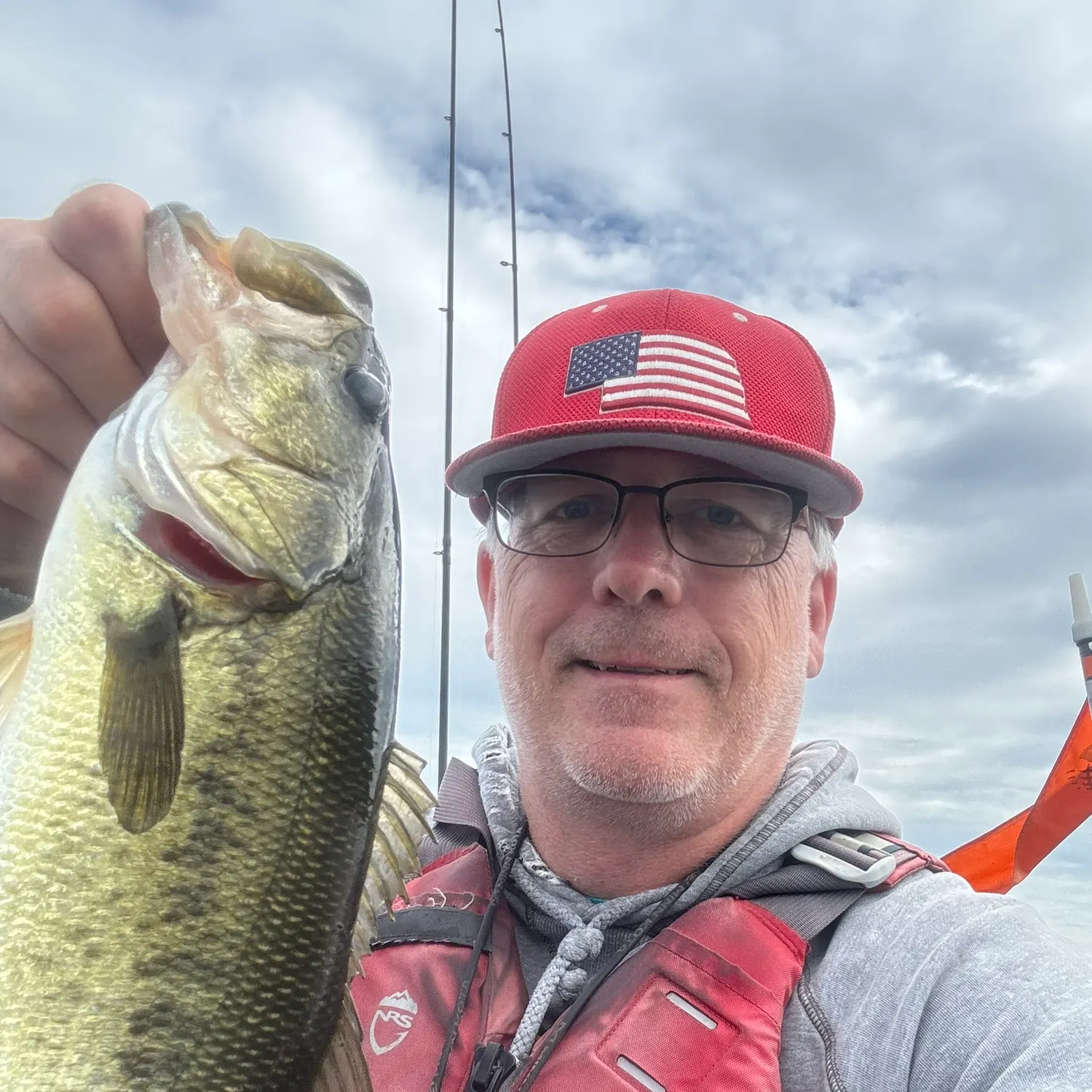 Chain pickerel caught on Fishbrain