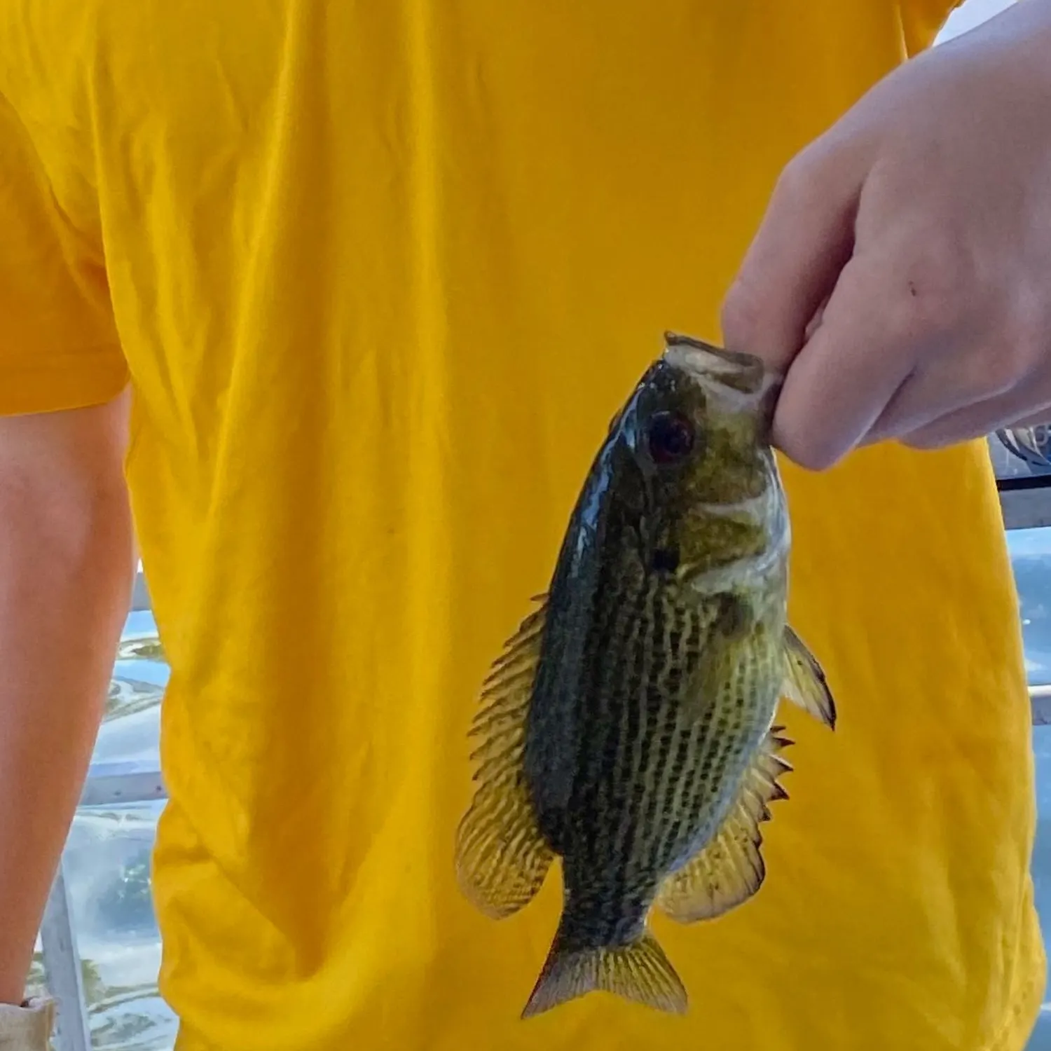 angler catch