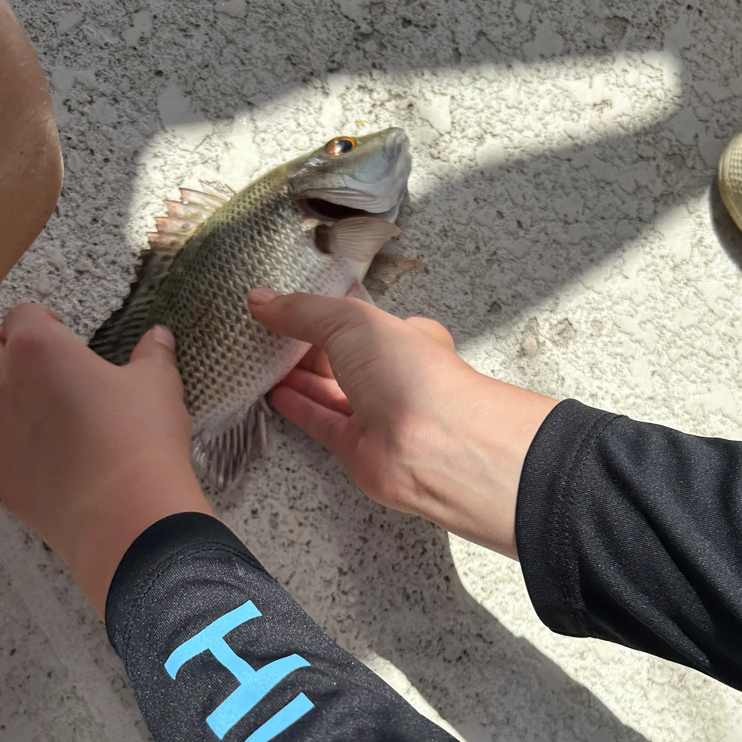 catch
