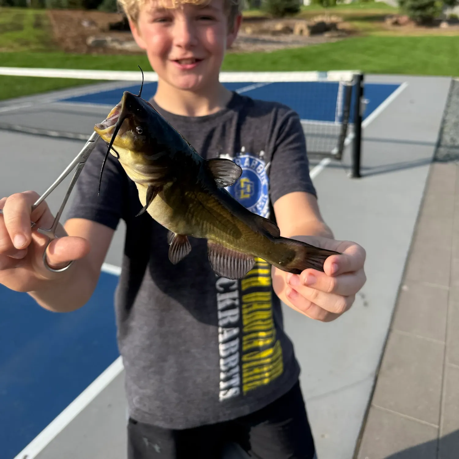 Yellow bullhead caught on Fishbrain