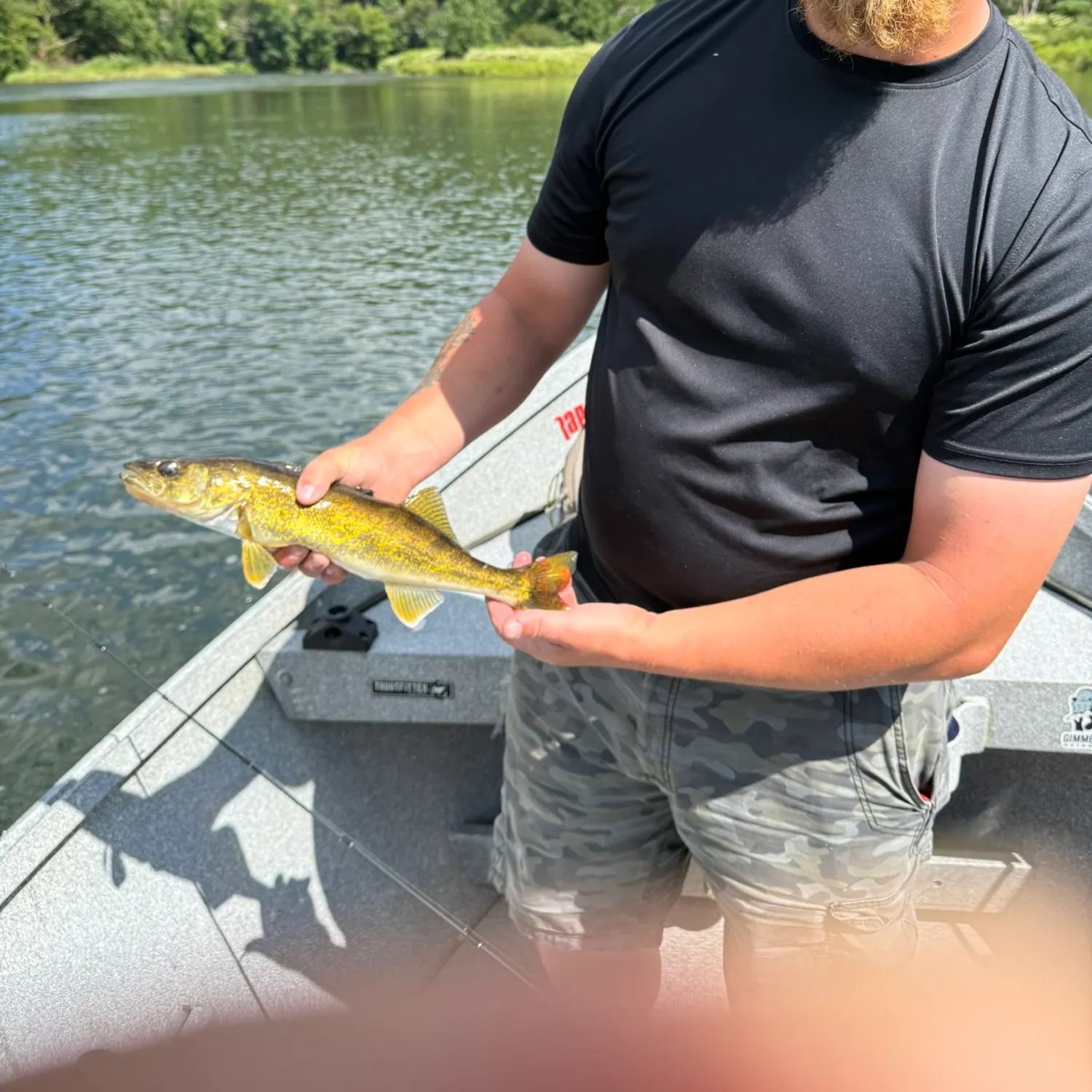 Walleye caught on Fishbrain