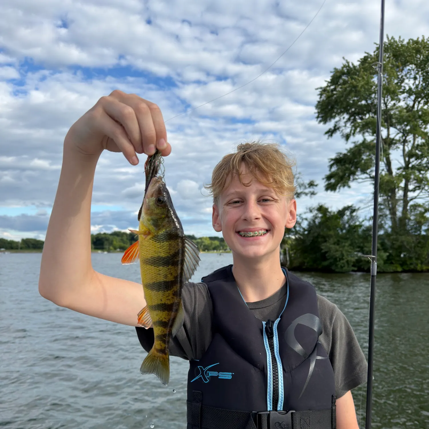 Yellow perch caught on Fishbrain