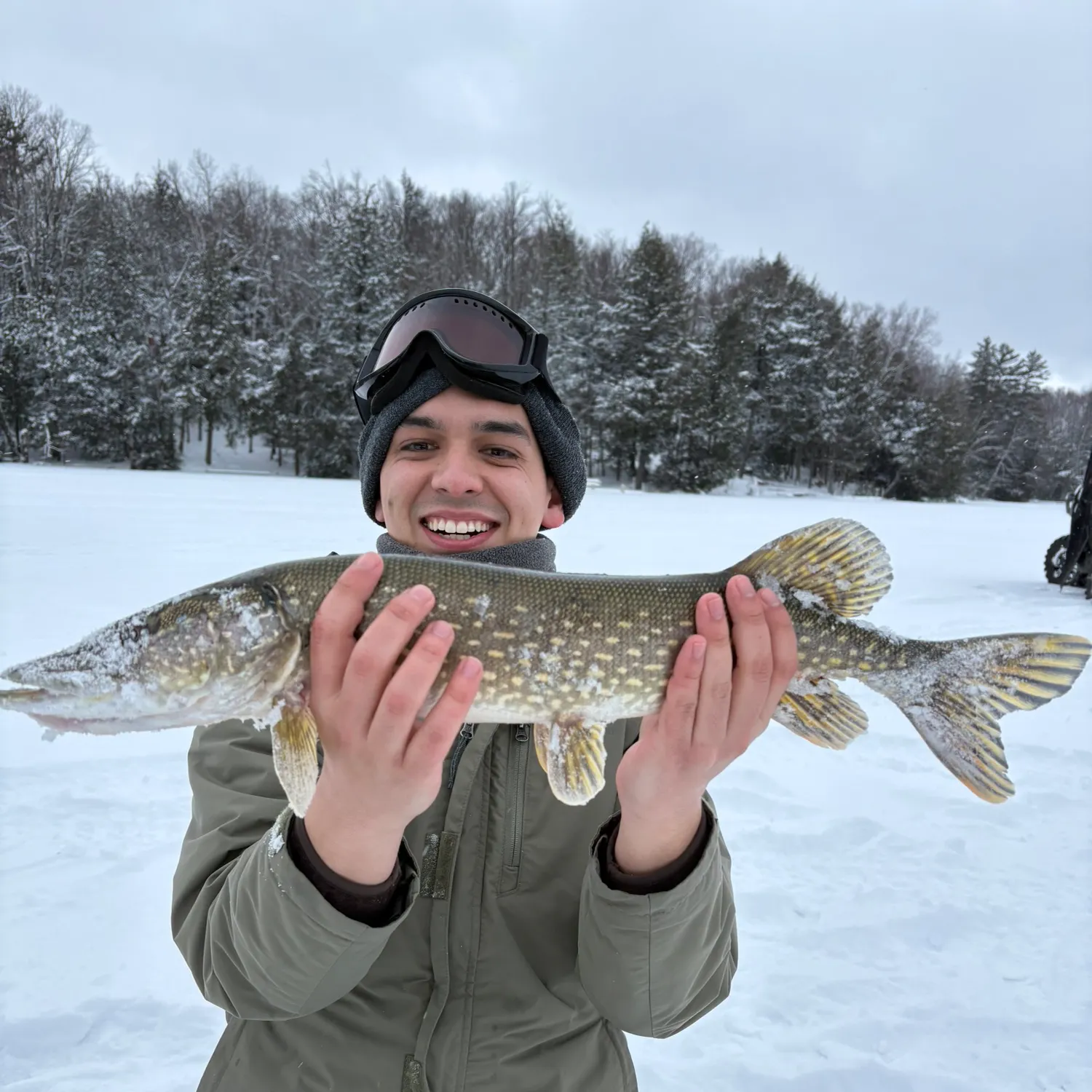 The most recent Northern pike catches on Fishbrain