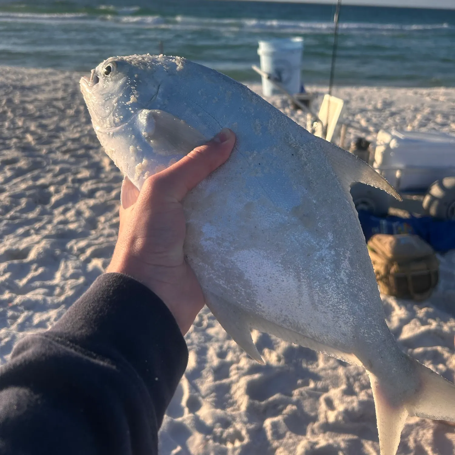 Florida pompano caught on Fishbrain