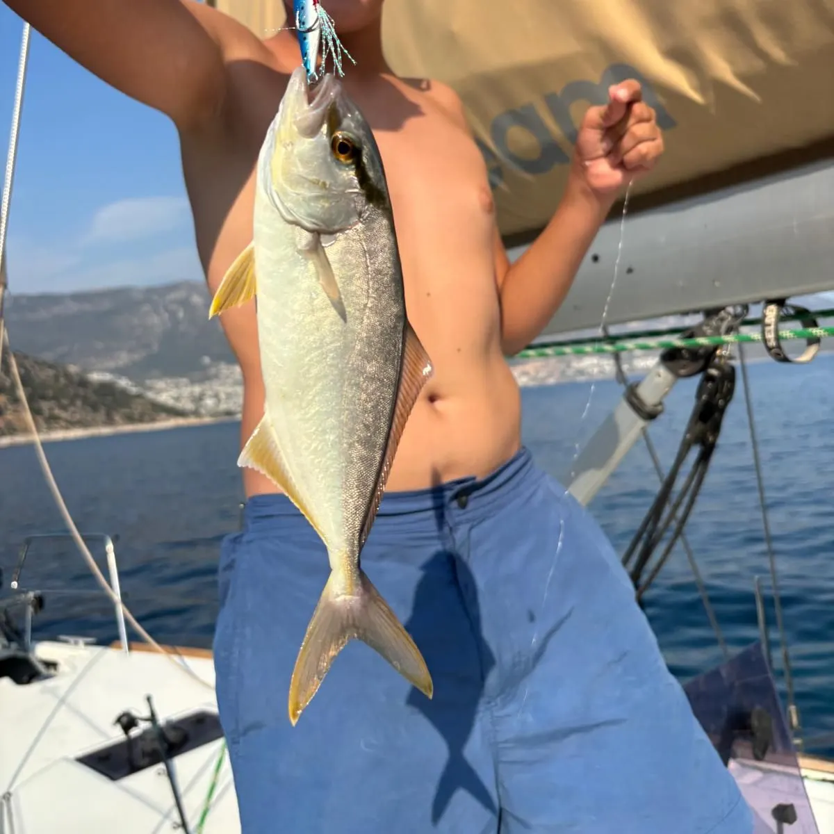 Southern yellowtail amberjack caught on Fishbrain