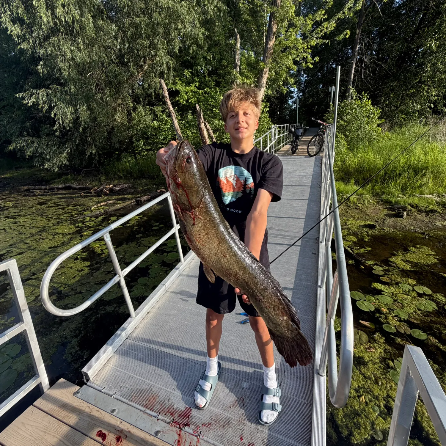 recently logged catches