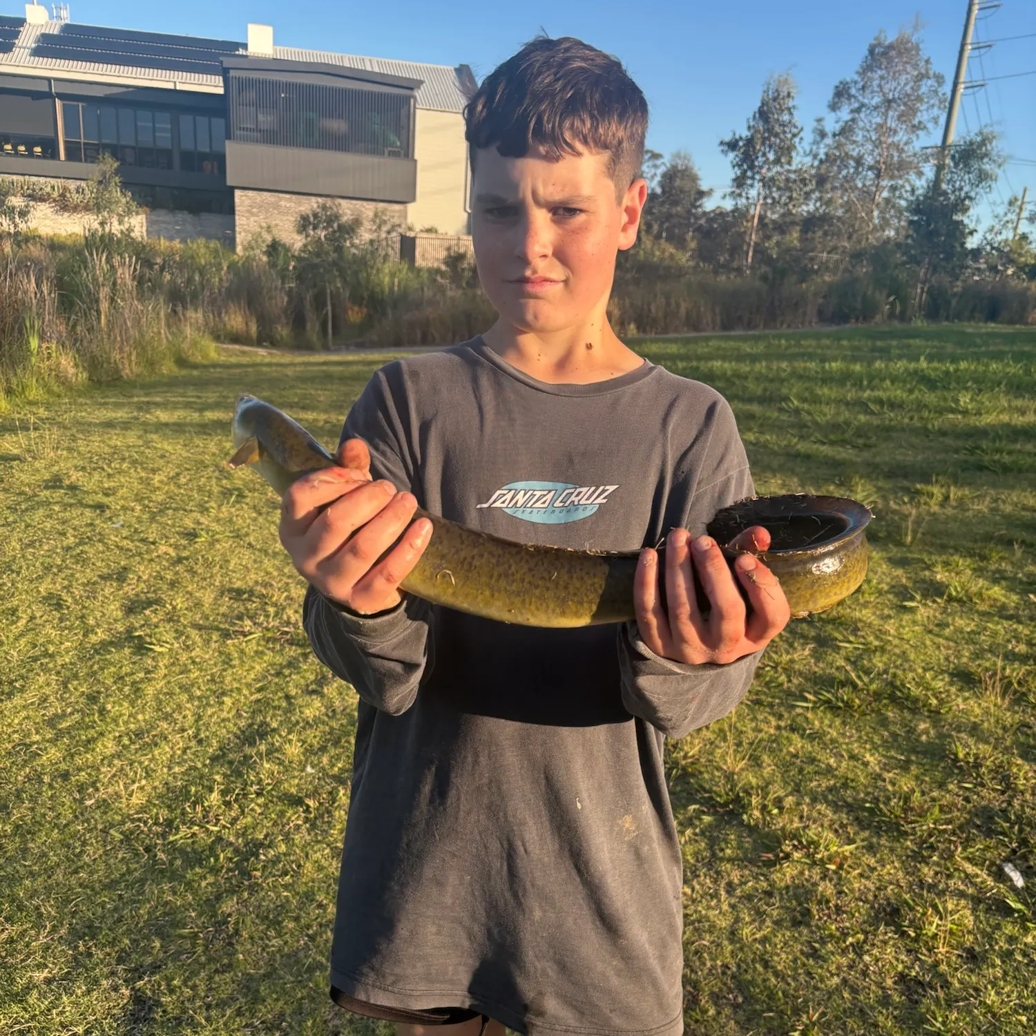 The most recent Giant mottled eel catches on Fishbrain