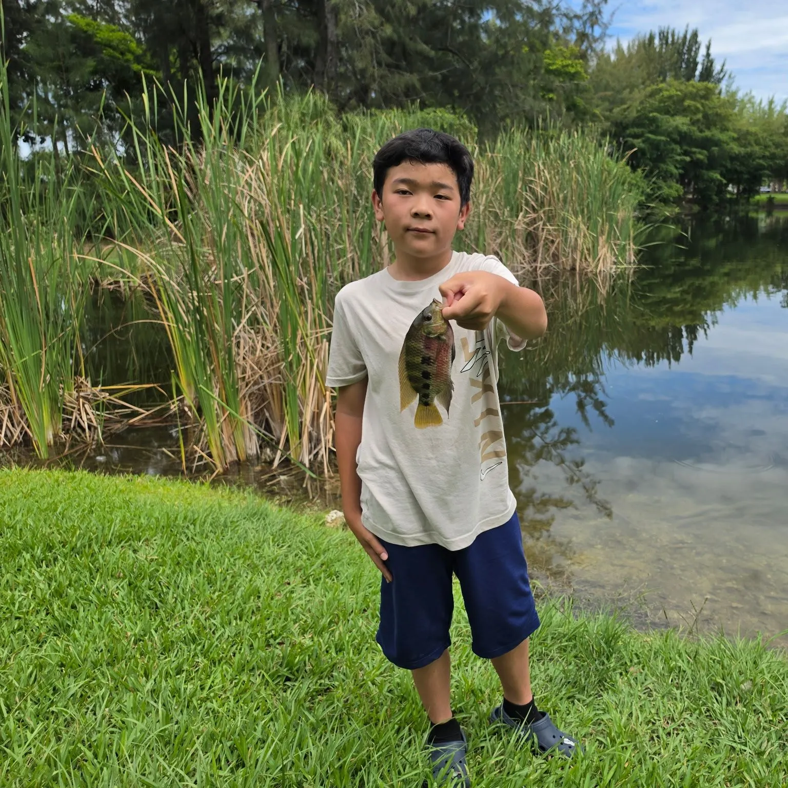 The most recent Spotted tilapia catches on Fishbrain