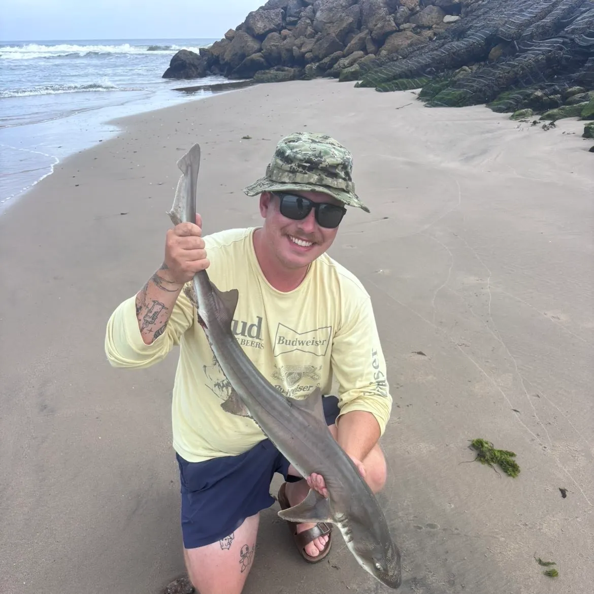 Grey smooth-hound caught on Fishbrain