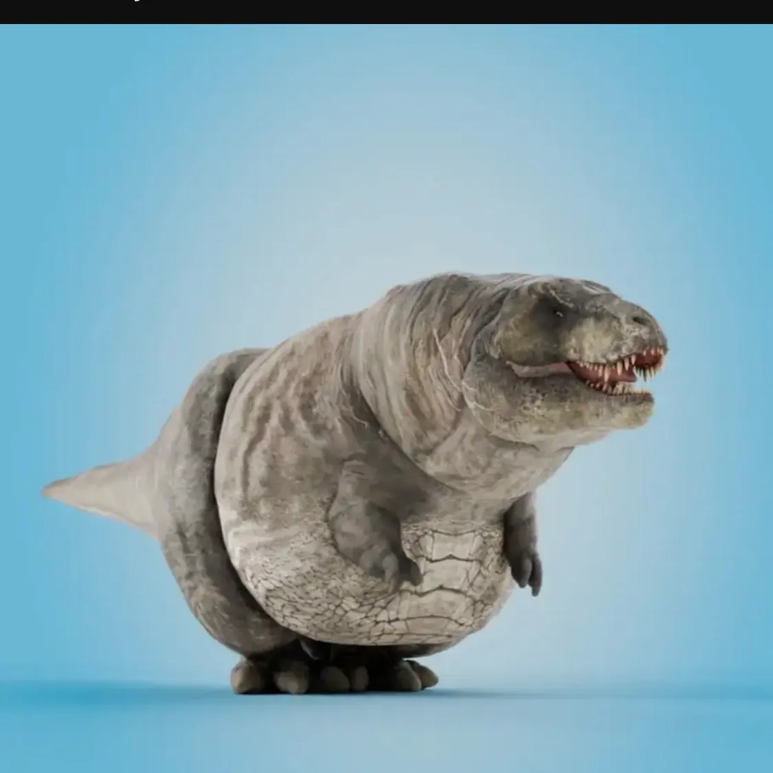 The most recent Whale shark catches on Fishbrain