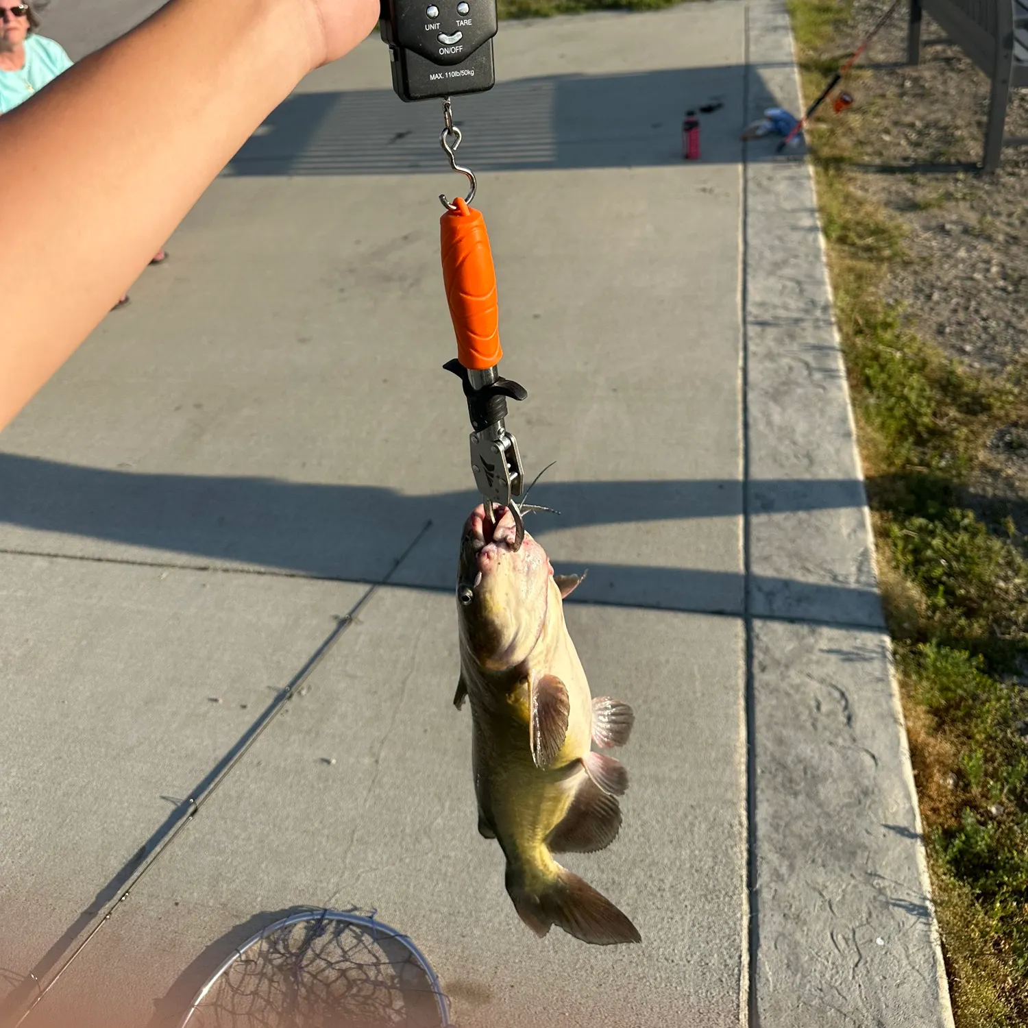 catch