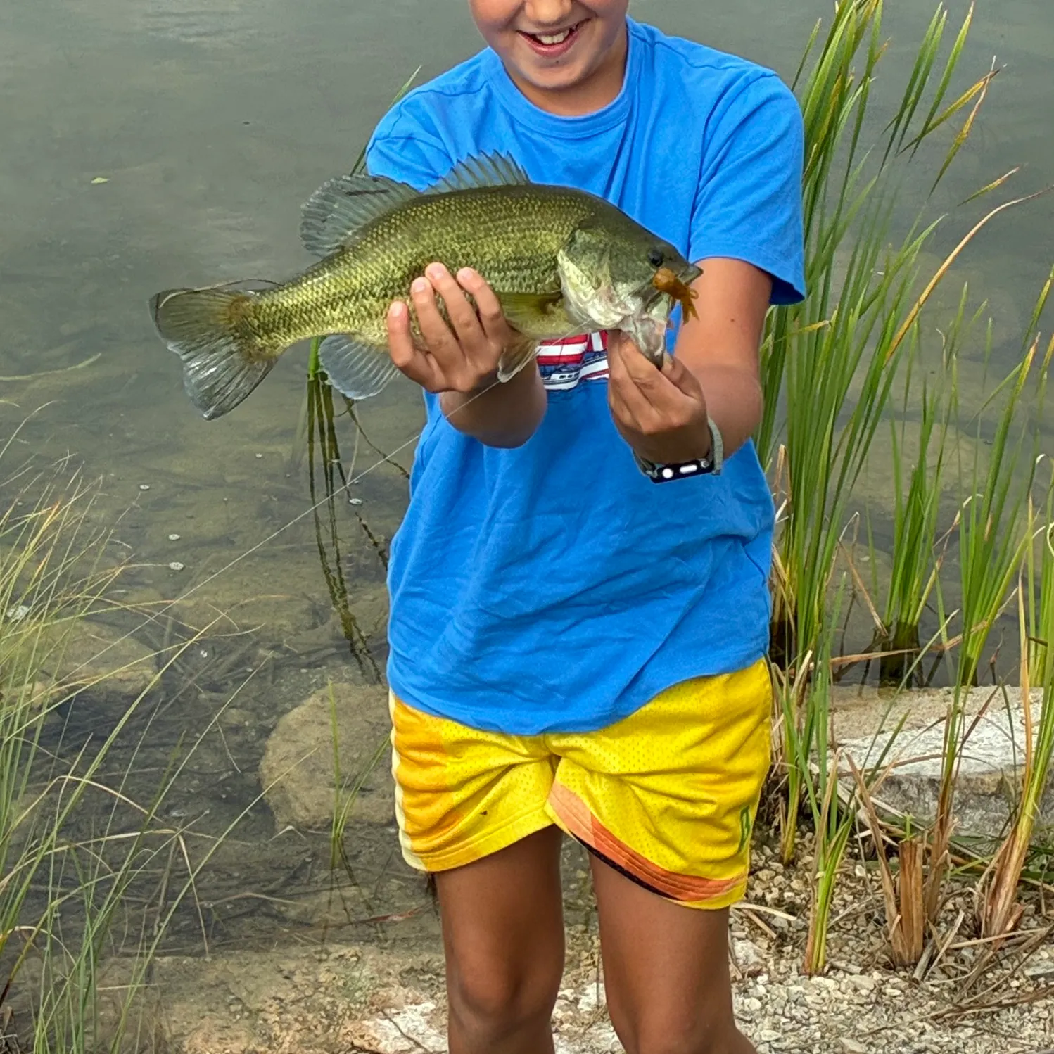Largemouth bass caught on Fishbrain