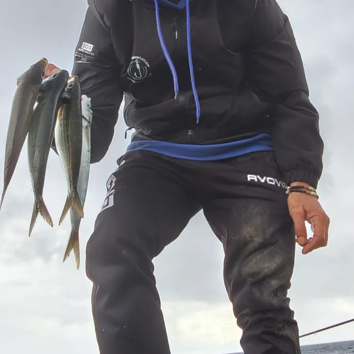 The most recent Bogue catches on Fishbrain