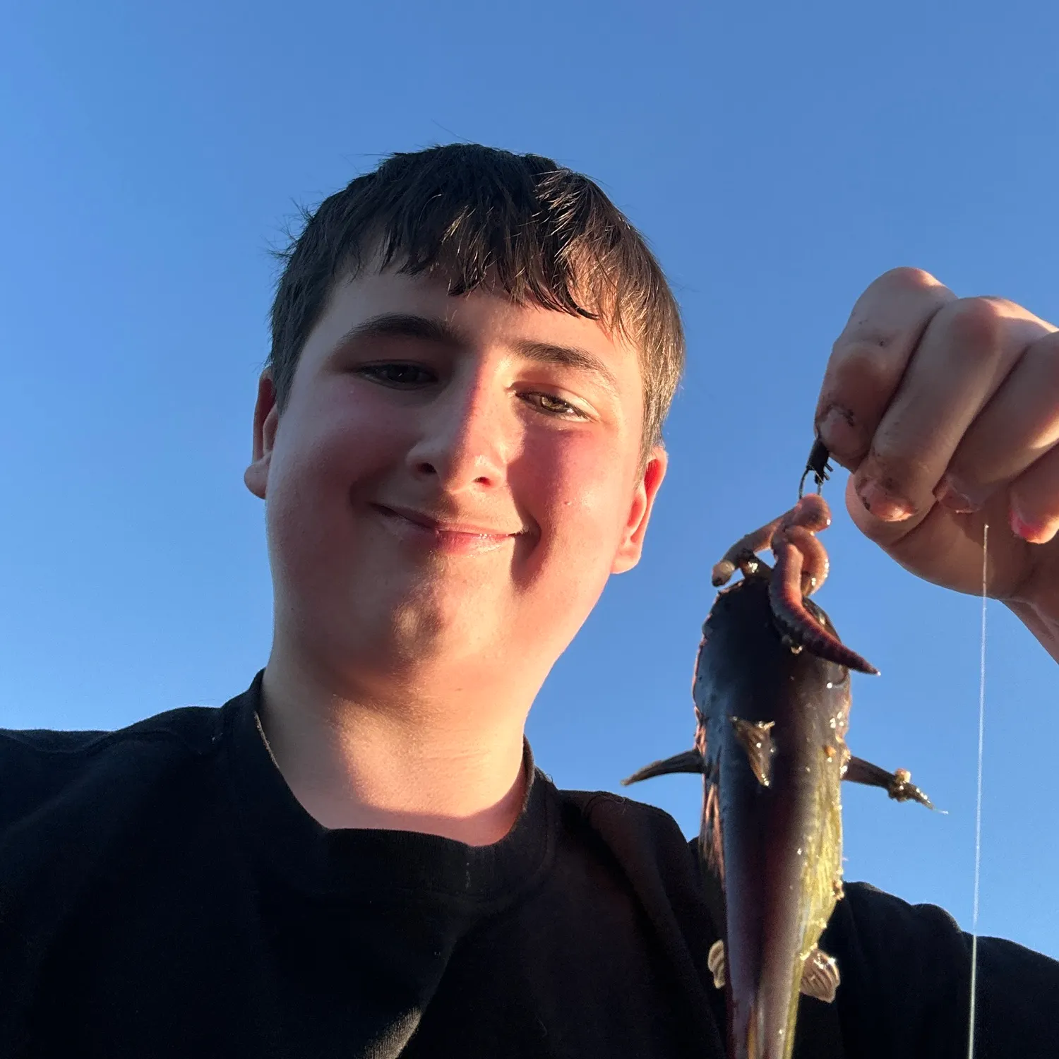 Black bullhead caught on Fishbrain