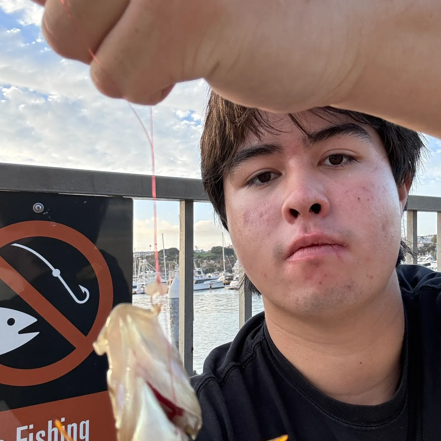 Kelp bass caught on Fishbrain