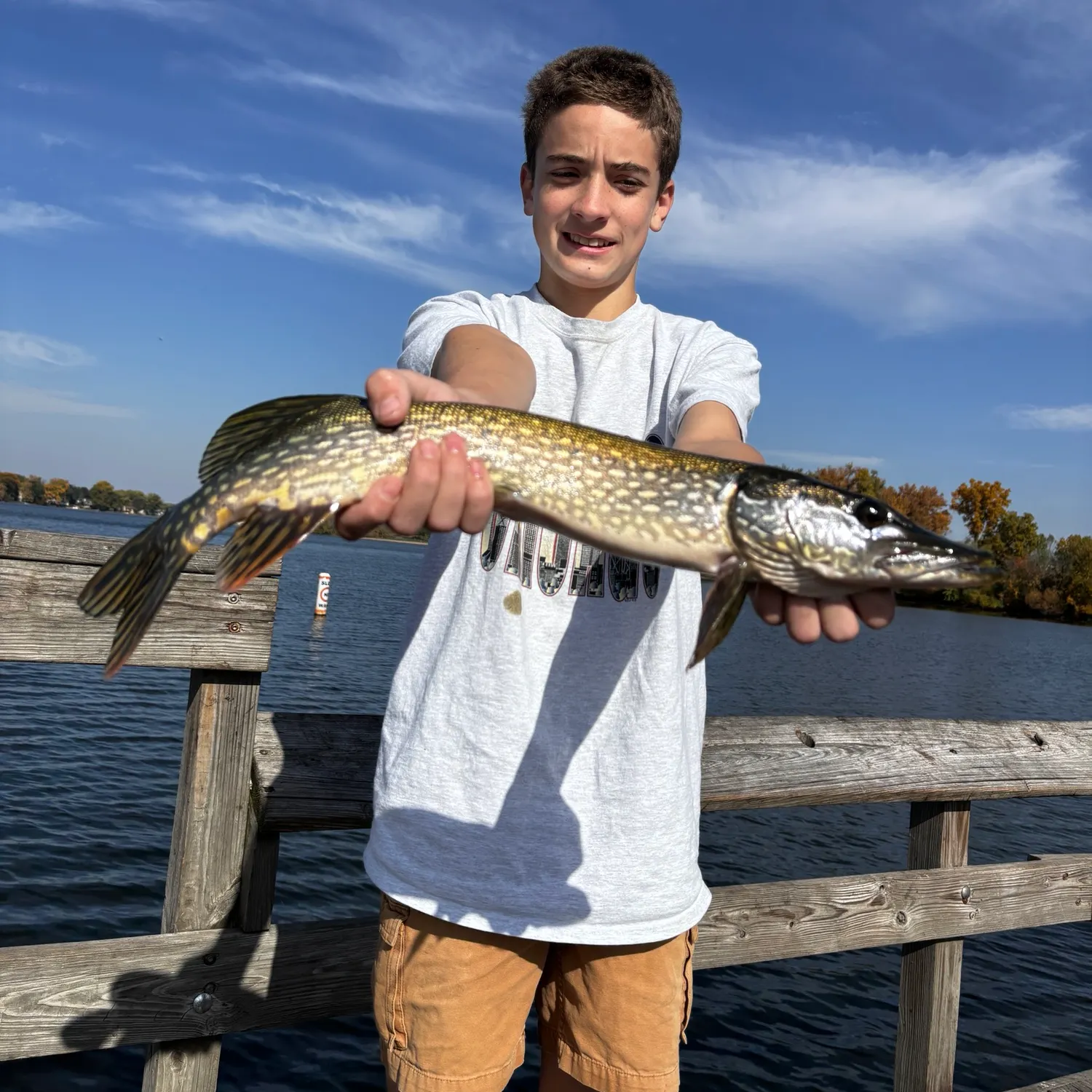 Northern pike caught on Fishbrain