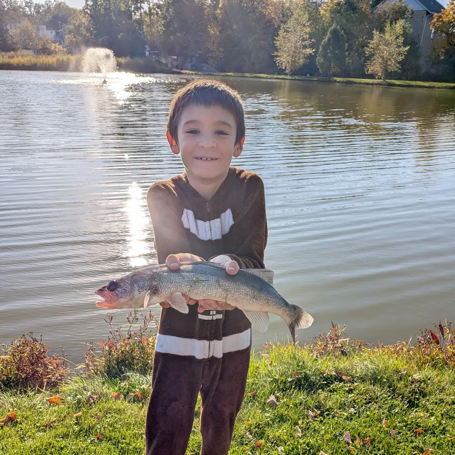 Walleye caught on Fishbrain
