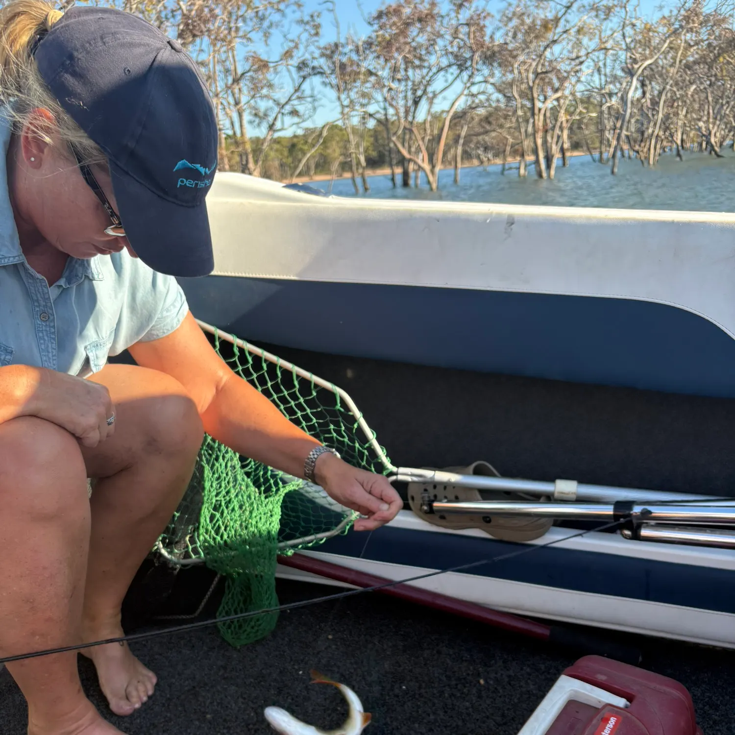 The most recent European perch catches on Fishbrain